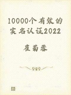 10000个有效的实名认证2022