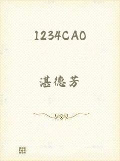 1234CAO