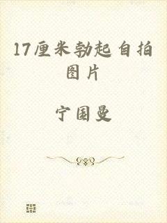17厘米勃起自拍图片