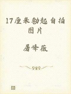 17厘米勃起自拍图片