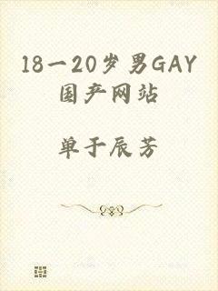 18一20岁男GAY国产网站