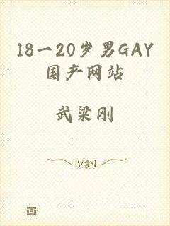 18一20岁男GAY国产网站