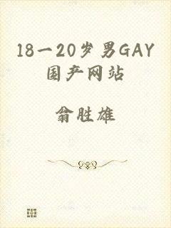 18一20岁男GAY国产网站