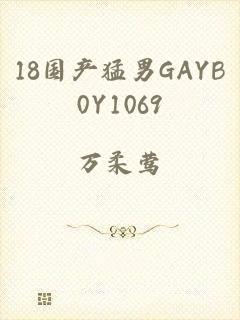 18国产猛男GAYB0Y1069