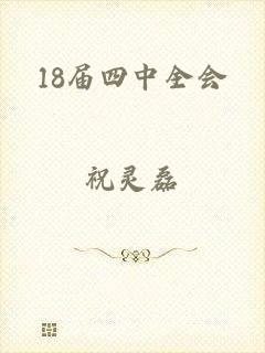 18届四中全会
