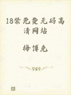 18禁免费无码高清网站
