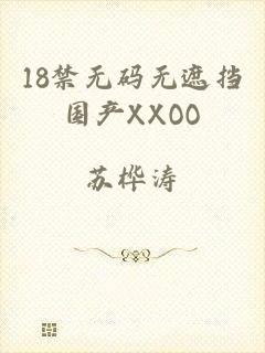 18禁无码无遮挡国产XXOO
