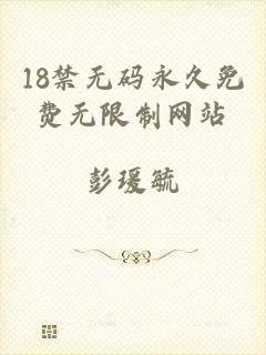 18禁无码永久免费无限制网站