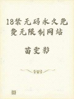 18禁无码永久免费无限制网站