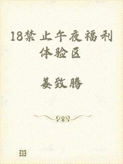 18禁止午夜福利体验区