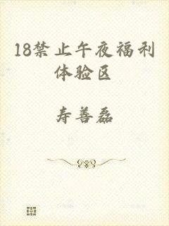18禁止午夜福利体验区