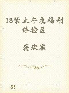 18禁止午夜福利体验区