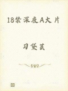 18禁深夜A大片