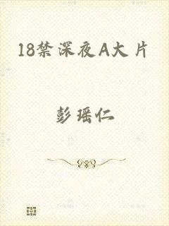 18禁深夜A大片
