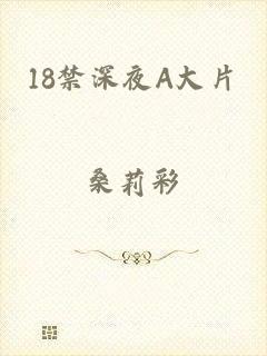 18禁深夜A大片