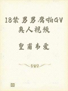 18禁男男腐啪GV真人视频