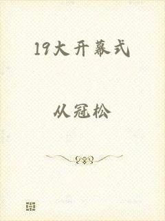 19大开幕式