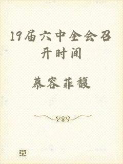 19届六中全会召开时间
