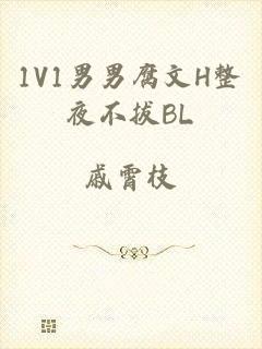 1V1男男腐文H整夜不拔BL