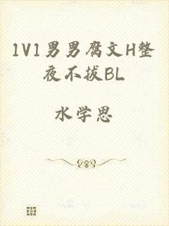 1V1男男腐文H整夜不拔BL