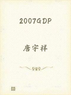 2007GDP