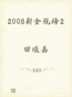 2008新金瓶梅2