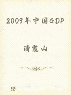 2009年中国GDP