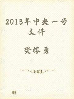2013年中央一号文件