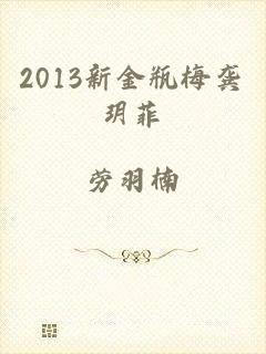2013新金瓶梅龚玥菲