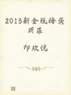 2013新金瓶梅龚玥菲