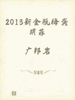 2013新金瓶梅龚玥菲