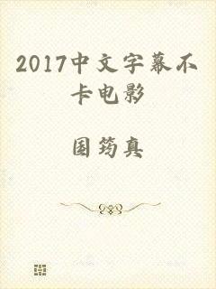 2017中文字幕不卡电影