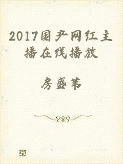 2017国产网红主播在线播放