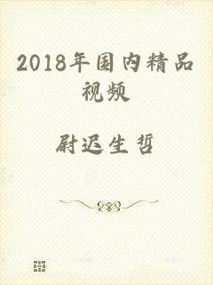 2018年国内精品视频