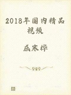 2018年国内精品视频