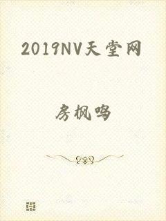 2019NV天堂网