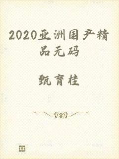 2020亚洲国产精品无码