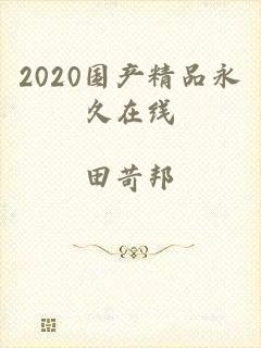 2020国产精品永久在线
