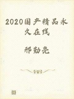 2020国产精品永久在线