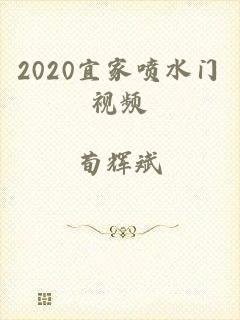 2020宜家喷水门视频