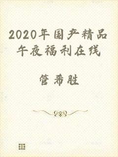 2020年国产精品午夜福利在线