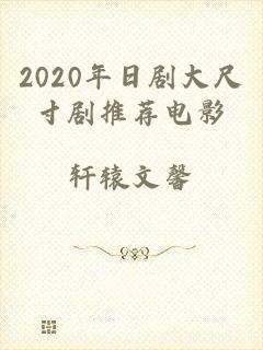 2020年日剧大尺寸剧推荐电影