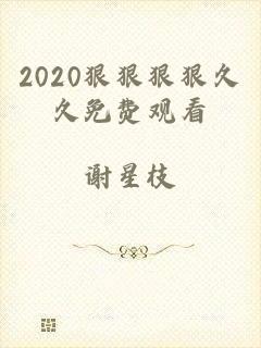2020狠狠狠狠久久免费观看