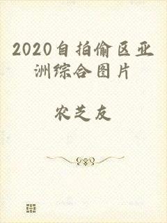 2020自拍偷区亚洲综合图片