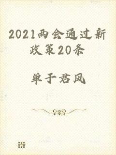 2021两会通过新政策20条