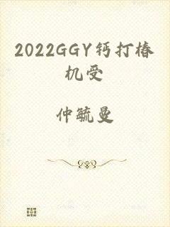 2022GGY钙打椿机受