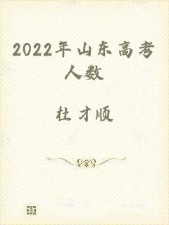 2022年山东高考人数