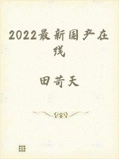 2022最新国产在线