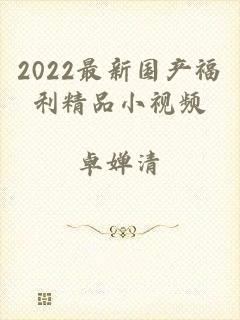 2022最新国产福利精品小视频