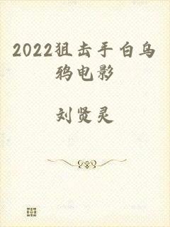 2022狙击手白乌鸦电影